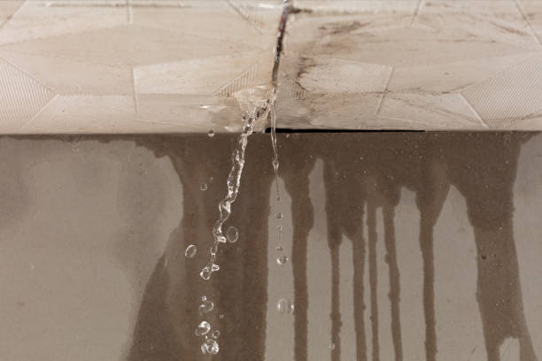 Professional Water Damage Inspection technician working in Hoehne, CO